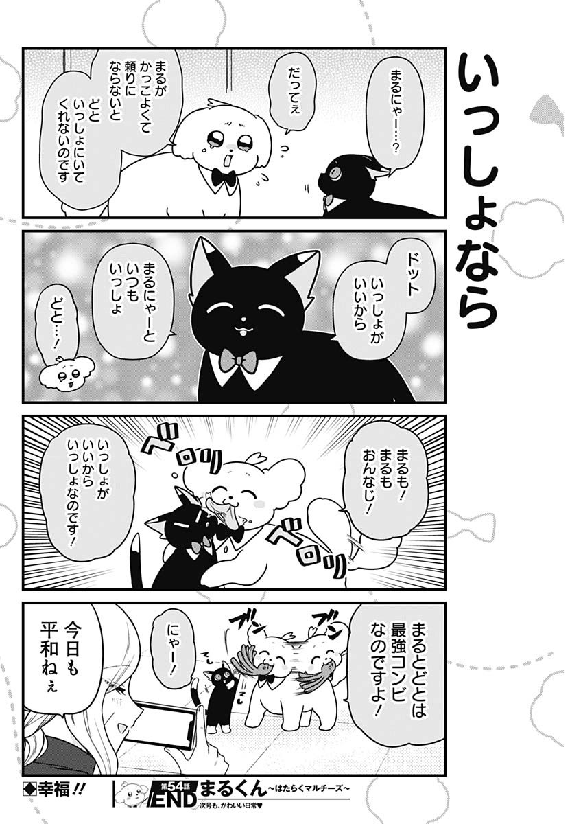 Maru-kun - Hataraku Maltese Chapter 54 8ページ