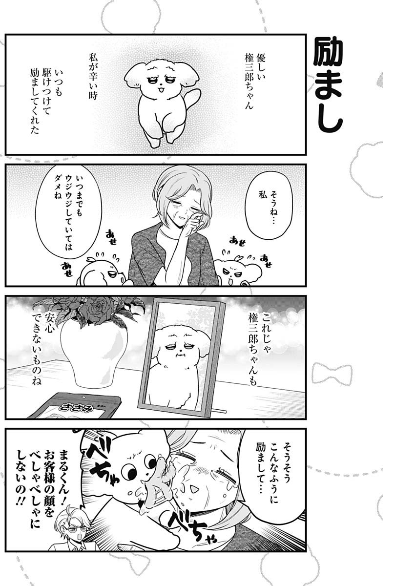 Maru-kun - Hataraku Maltese Chapter 55 6ページ
