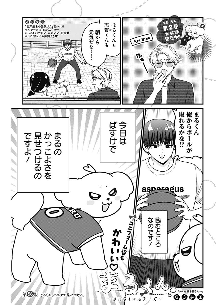 Maru-kun - Hataraku Maltese Chapter 56 1ページ