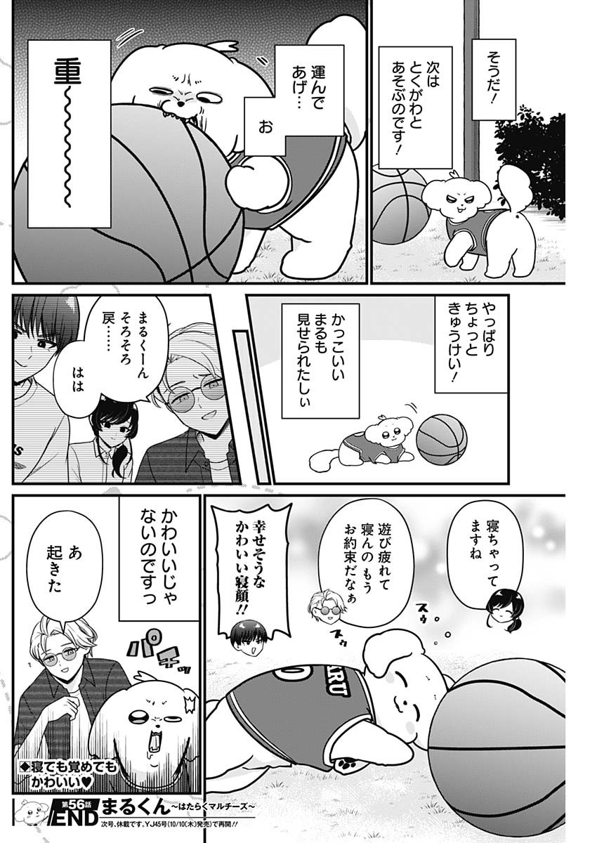 Maru-kun - Hataraku Maltese Chapter 56 8ページ