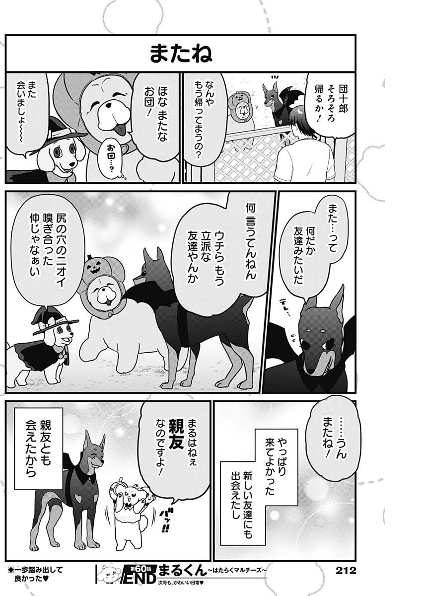 Maru-kun - Hataraku Maltese Chapter 60 8ページ