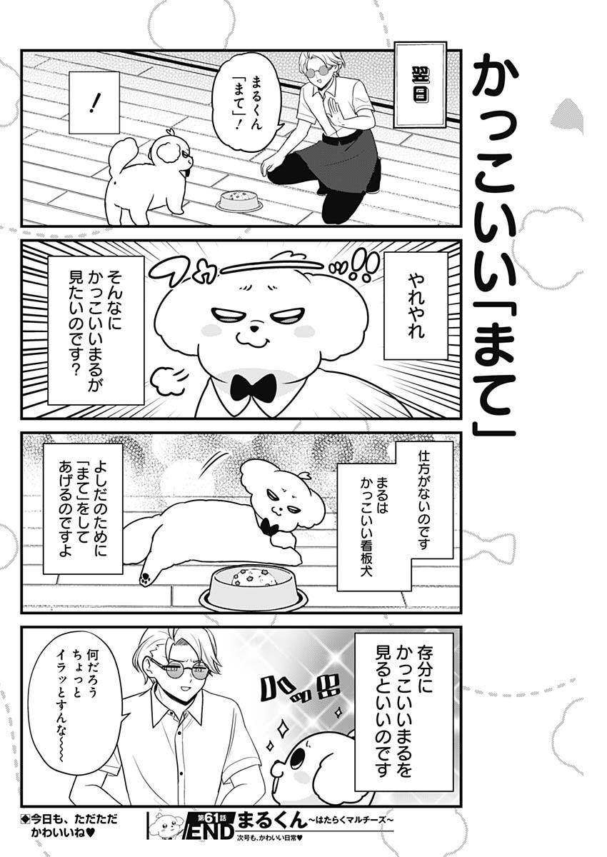 Maru-kun - Hataraku Maltese Chapter 61 8ページ