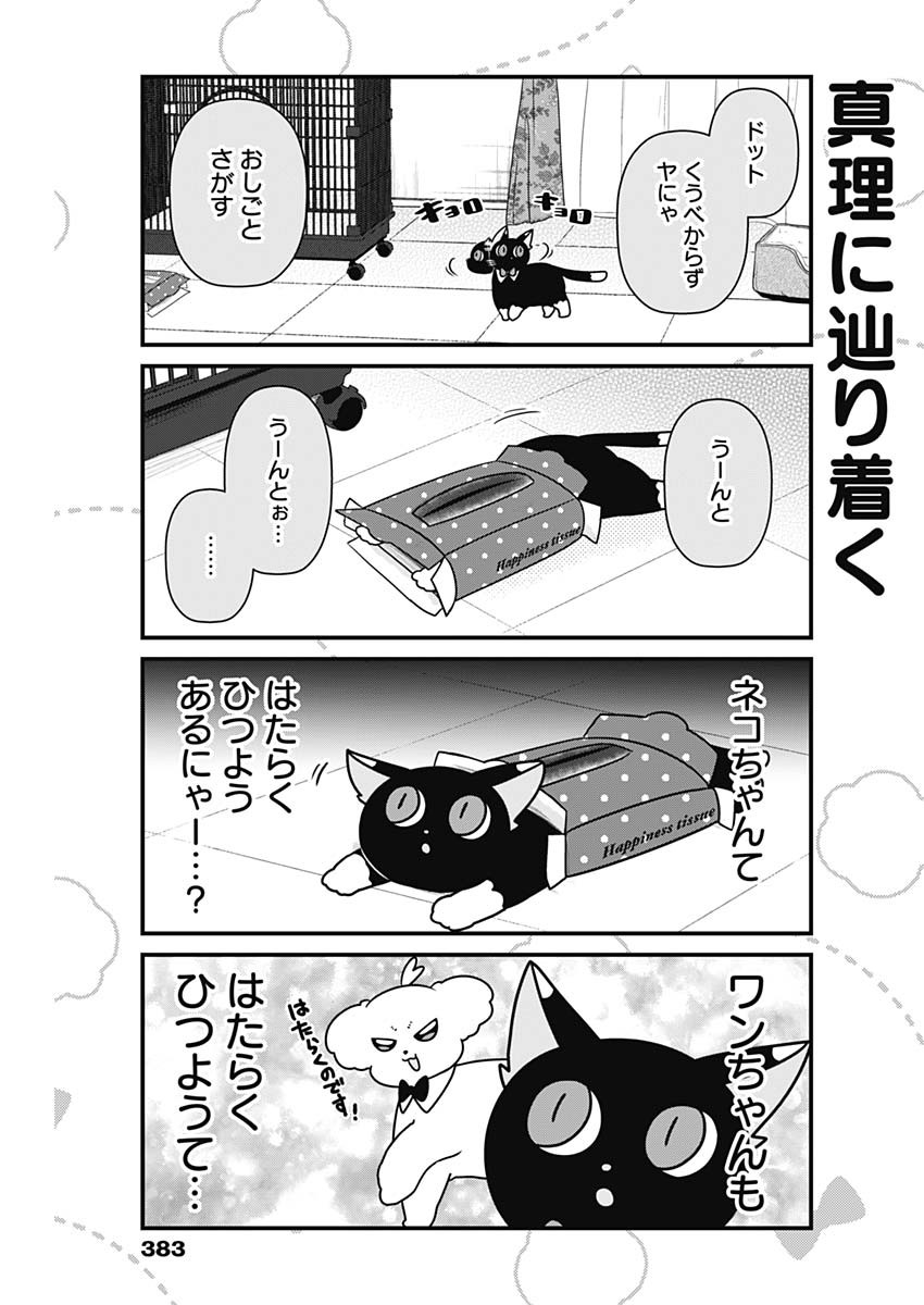 Maru-kun - Hataraku Maltese Chapter 64 3ページ