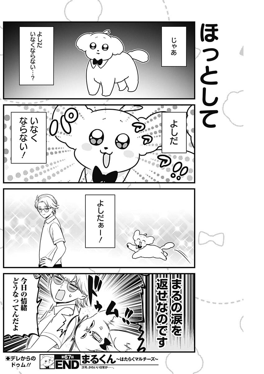 Maru-kun - Hataraku Maltese Chapter 67 8ページ