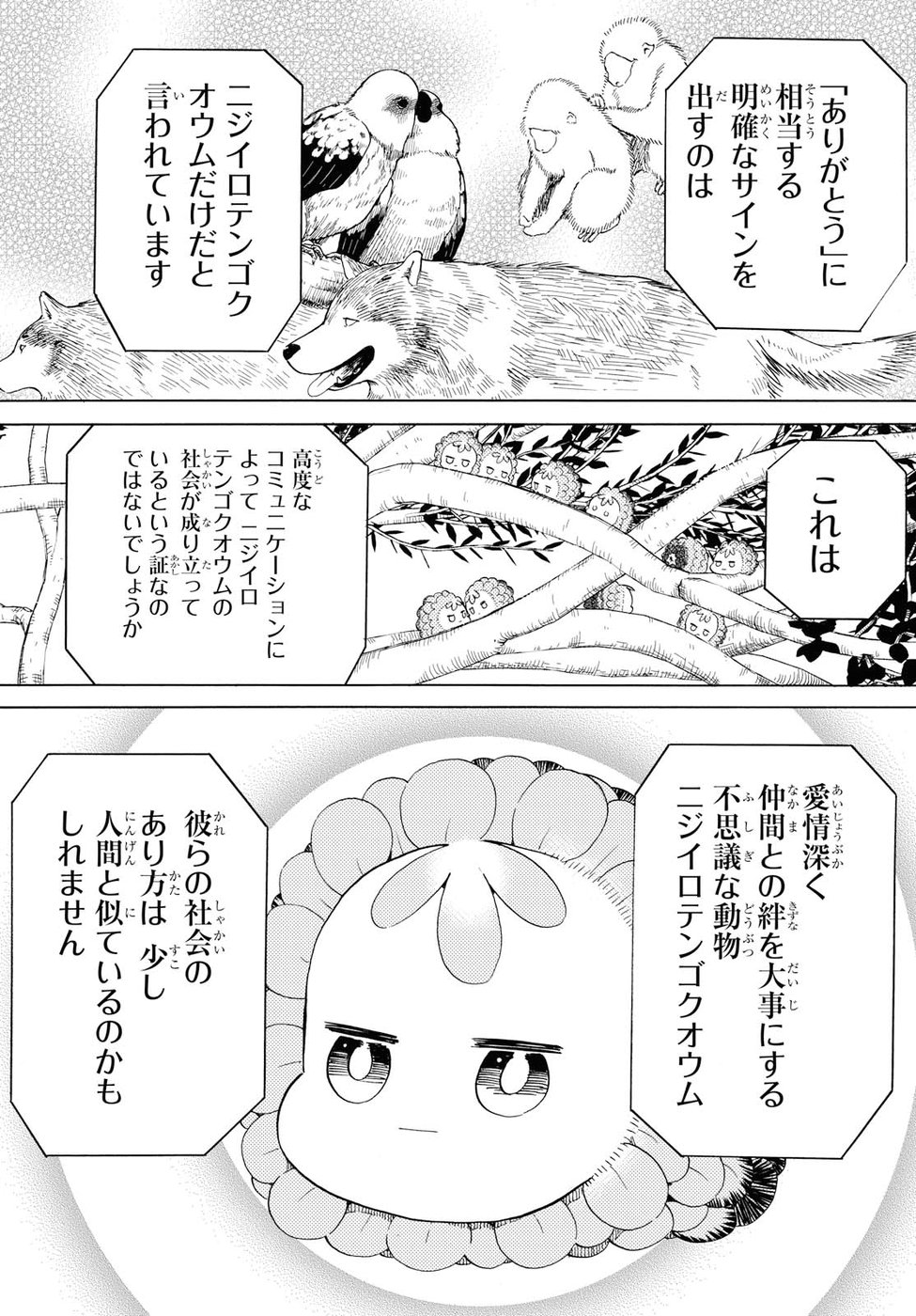 Niji to Kuro Chapter 6 15ページ