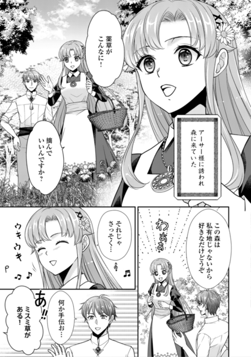 Jimi Kusushi Reijou wa mou Keiyaku Koushinita Shimasen. Zamaa? Botsuraku? Watashi ni wa Kankei Nai Koto Desu Chapter 13 3ページ