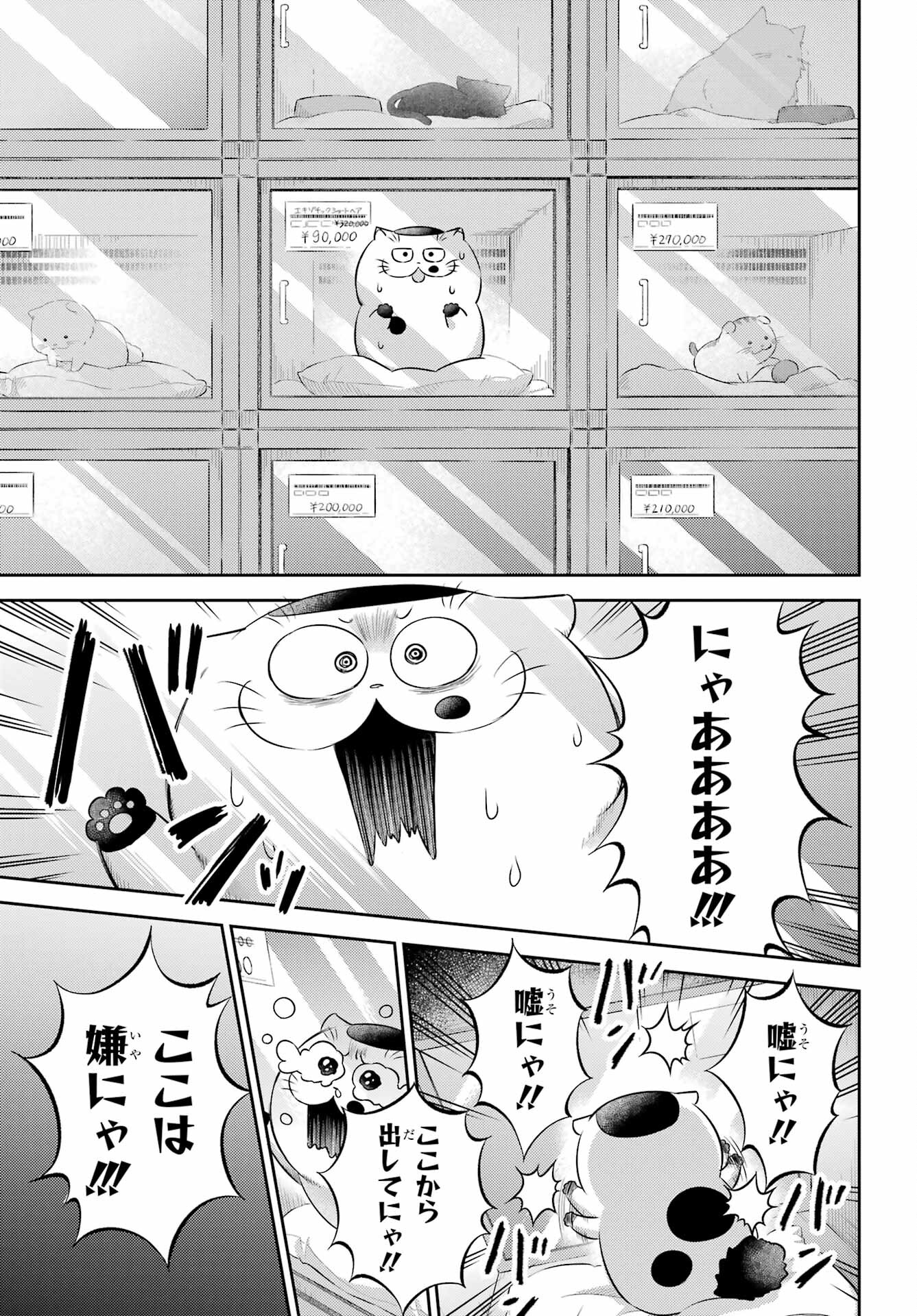 Ojisama to Neko Chapter 116 11ページ