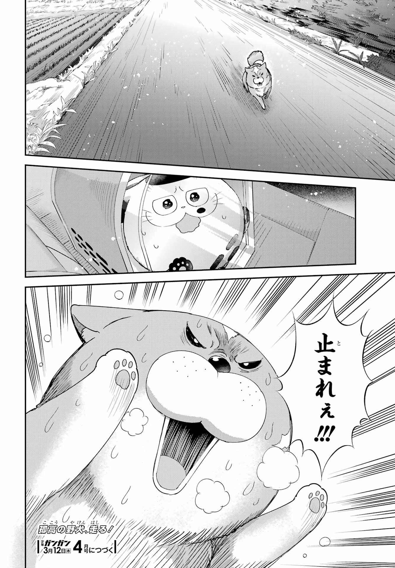 Ojisama to Neko Chapter 131 24ページ