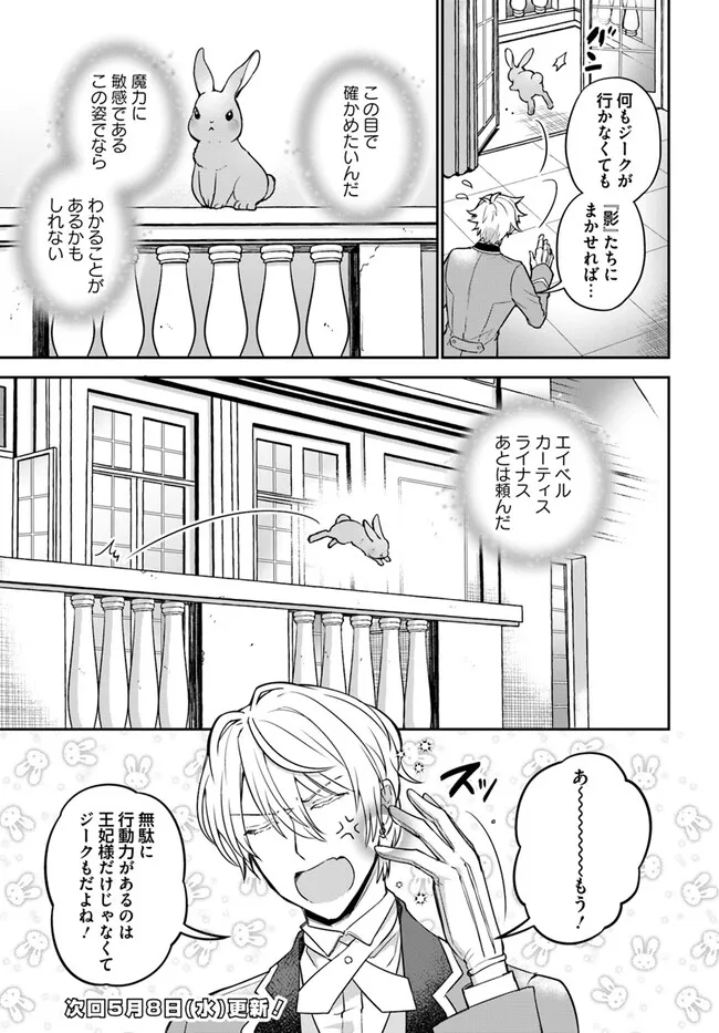 Okazari Ouhi ni Nattanode, Kossori Hataraki ni deru koto ni Shimashita ~Usagi ga Iru node Hitorine mo Sabishiku Arimasen!~ Chapter 26.5 6ページ