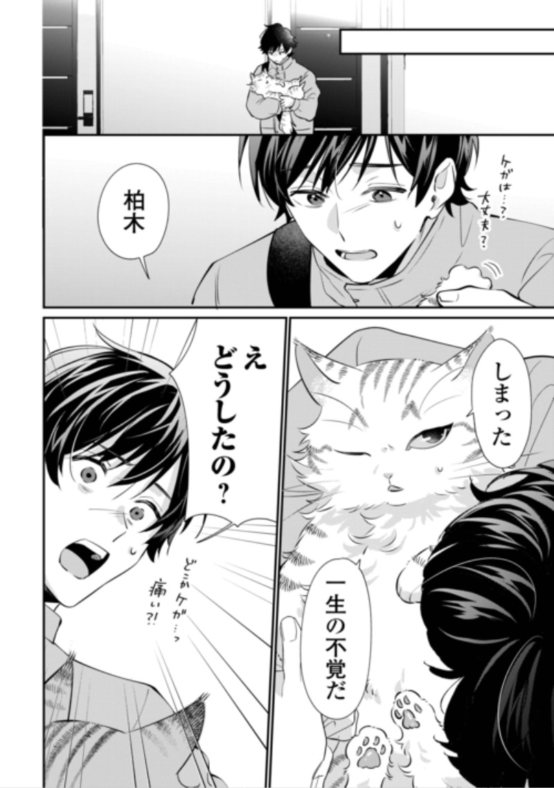 Hirotta no ga Hontou ni Neko ka wa Utagawashii Chapter 6.1 12ページ