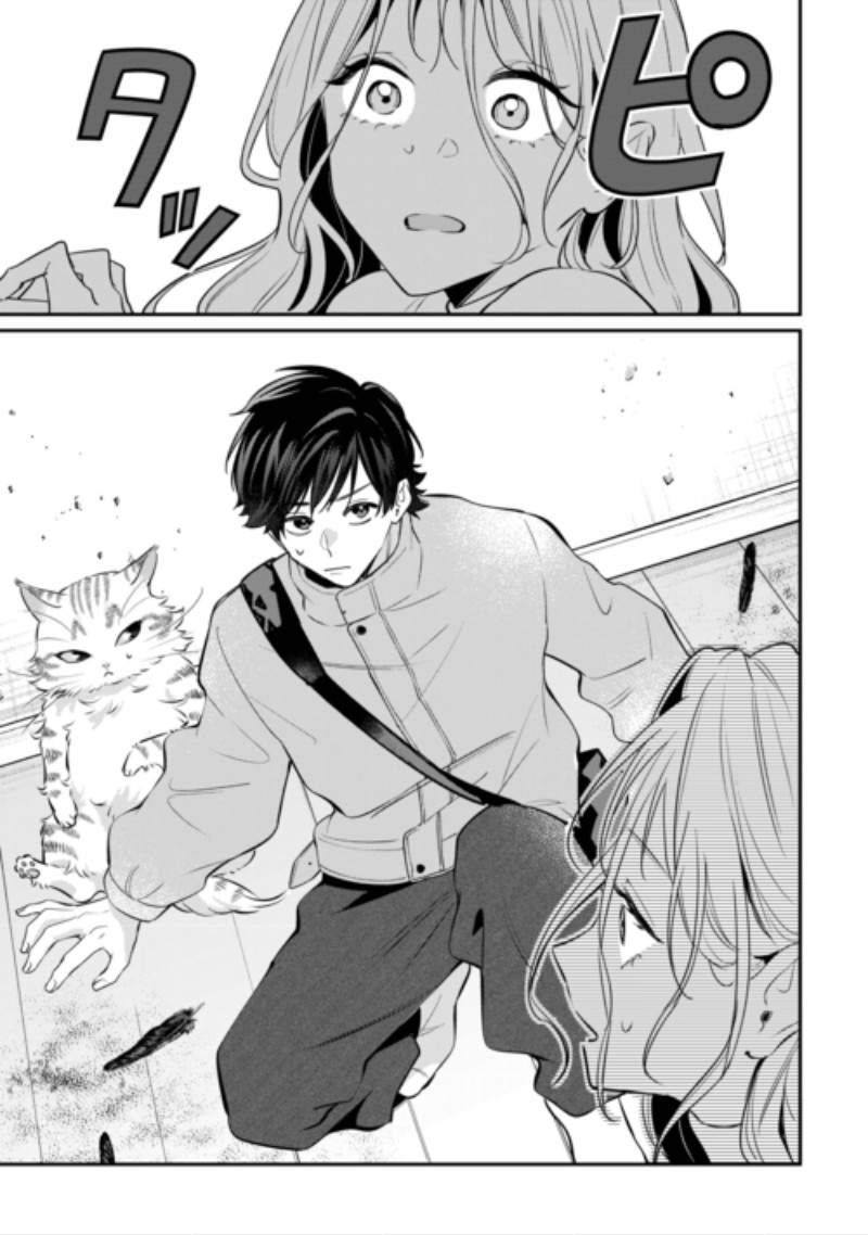 Hirotta no ga Hontou ni Neko ka wa Utagawashii Chapter 6.1 9ページ