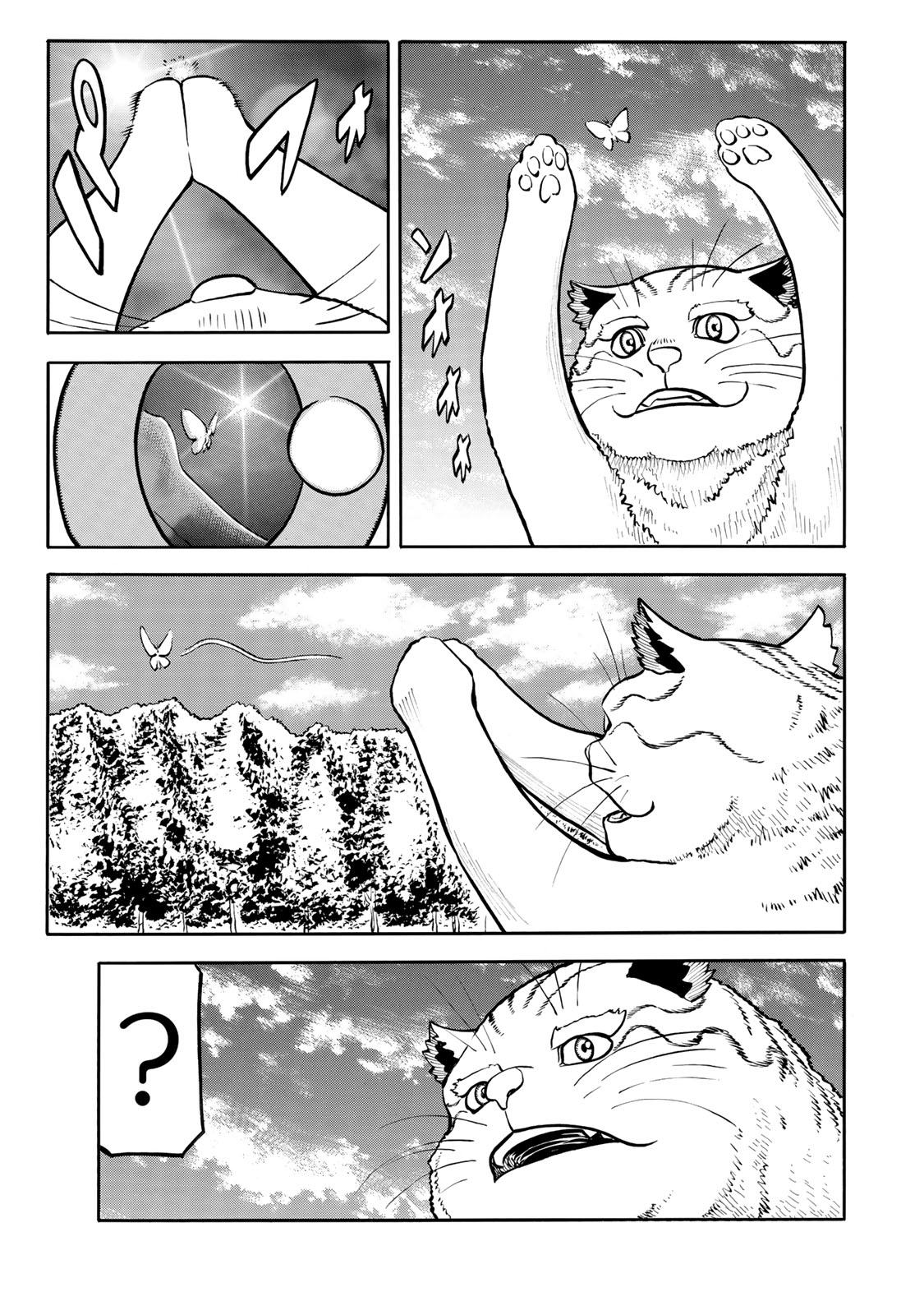 rights Chapter 5.2 13ページ