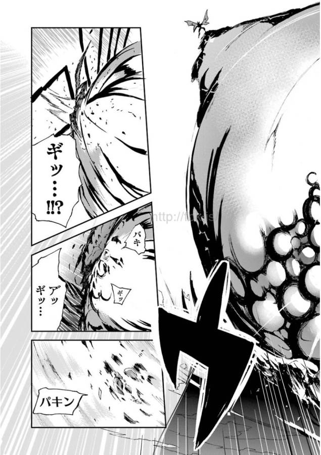 Saijaku Muhai no Bahamut Chapter 3 25ページ