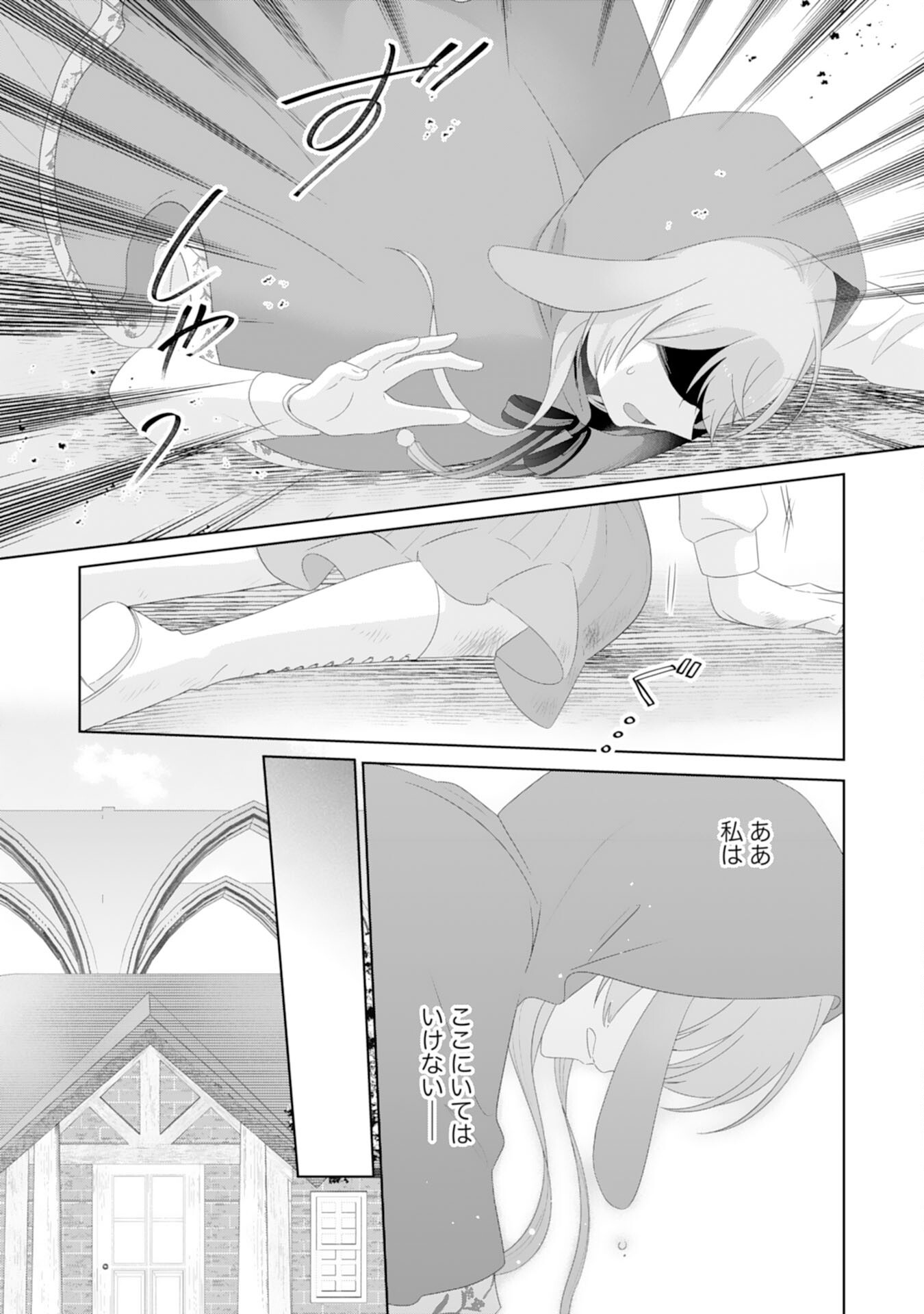 Ryuuou Heika no Mofumofu Osewagakari - Tensei Shita Hebon Joshi ni Dekiai Flag ga Tachimashita Chapter 15 17ページ