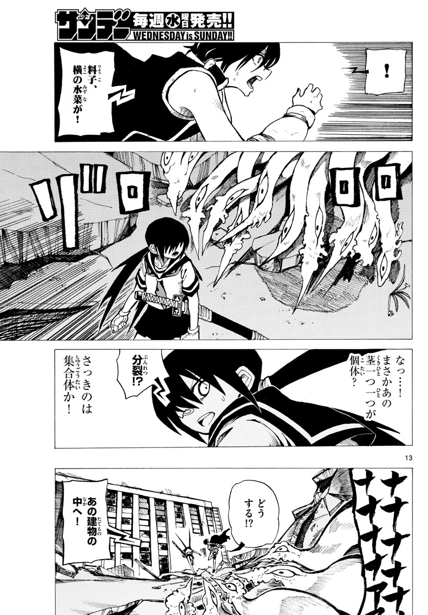 RYOKO (MITSUHASHI Kaito) Chapter 30 13ページ