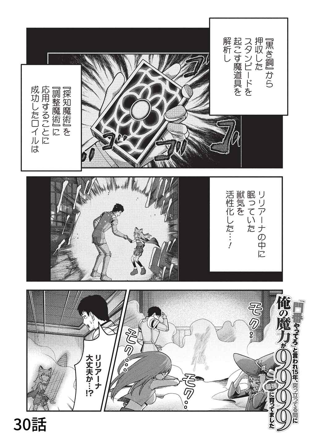 "Monban Yattero" to Iware Juugo Nen, Tsuttatetteru Aida ni Ore no Maryoku ga 9999 "Saikyou" ni Sodattemashita Chapter 30 1ページ