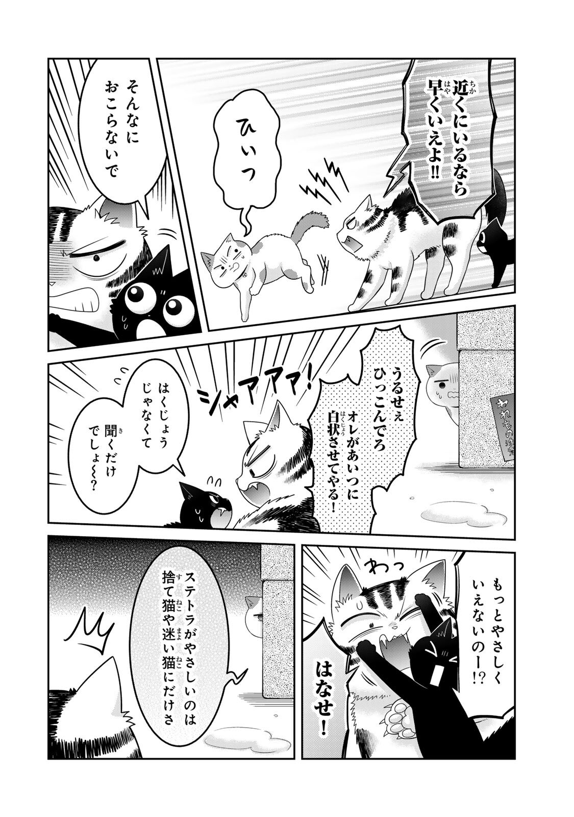 Rudolf to Ippaiattena Chapter 13 12ページ