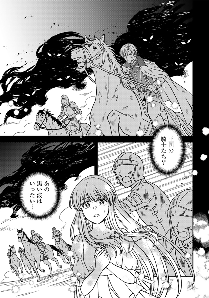 Yumemi no Koushaku Reijou wa Konyaku Haki wo Goshomou desu Chapter 11.2 12ページ