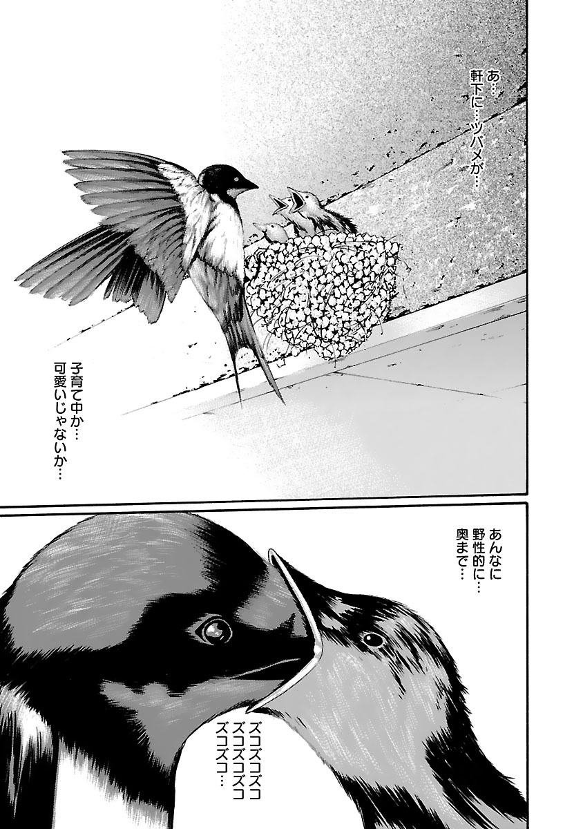 Sense Chapter 75 13ページ