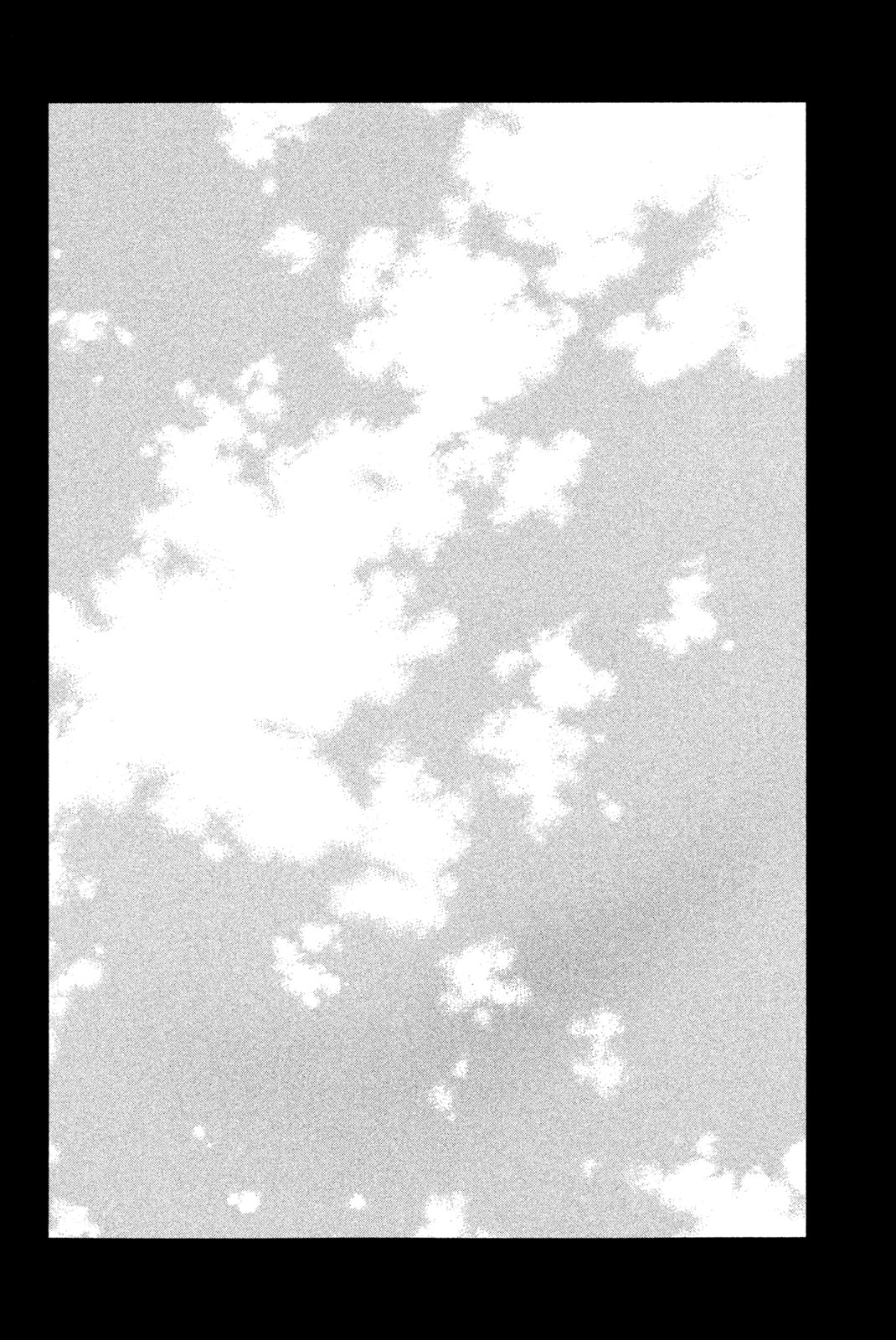 Shaman King Chapter 162 22ページ
