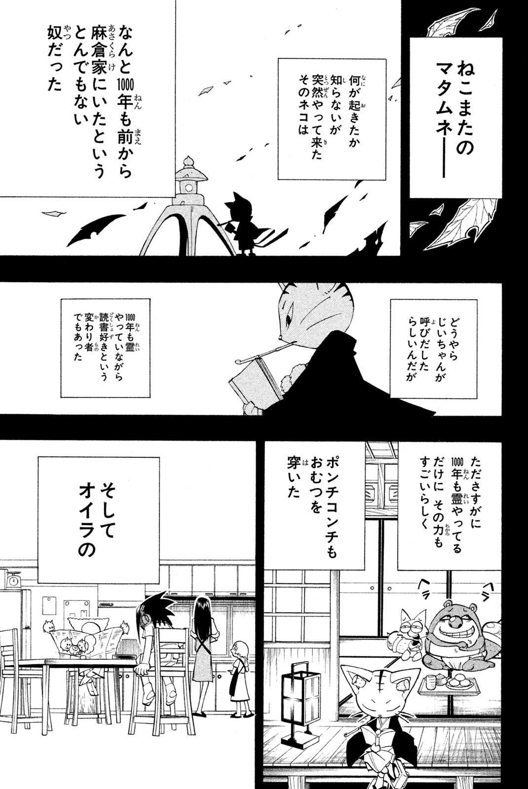 Shaman King Chapter 163 13ページ