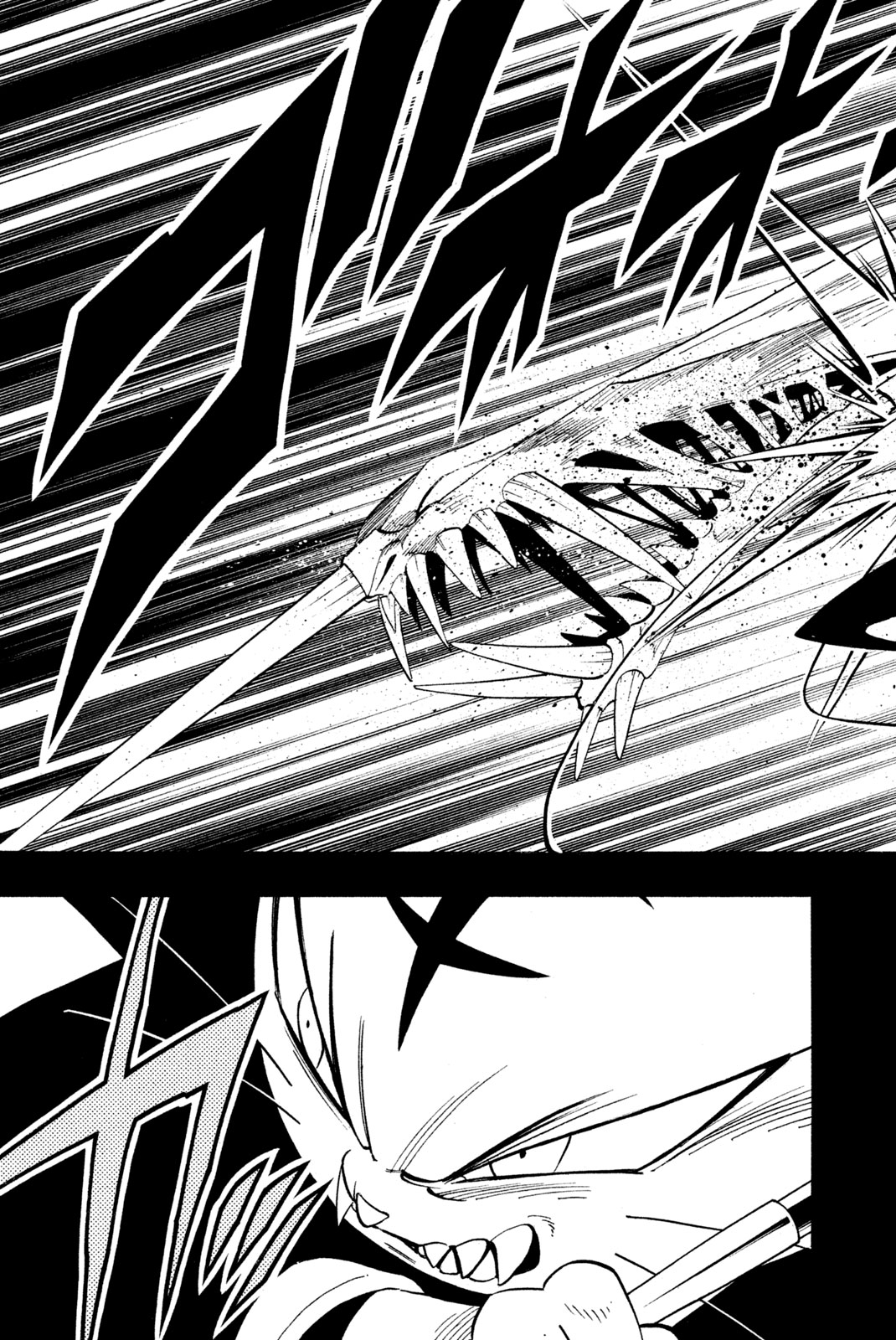 Shaman King Chapter 171 11ページ