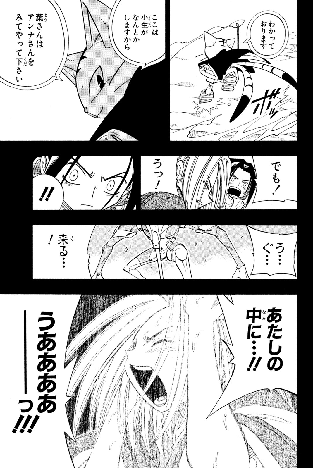 Shaman King Chapter 171 13ページ
