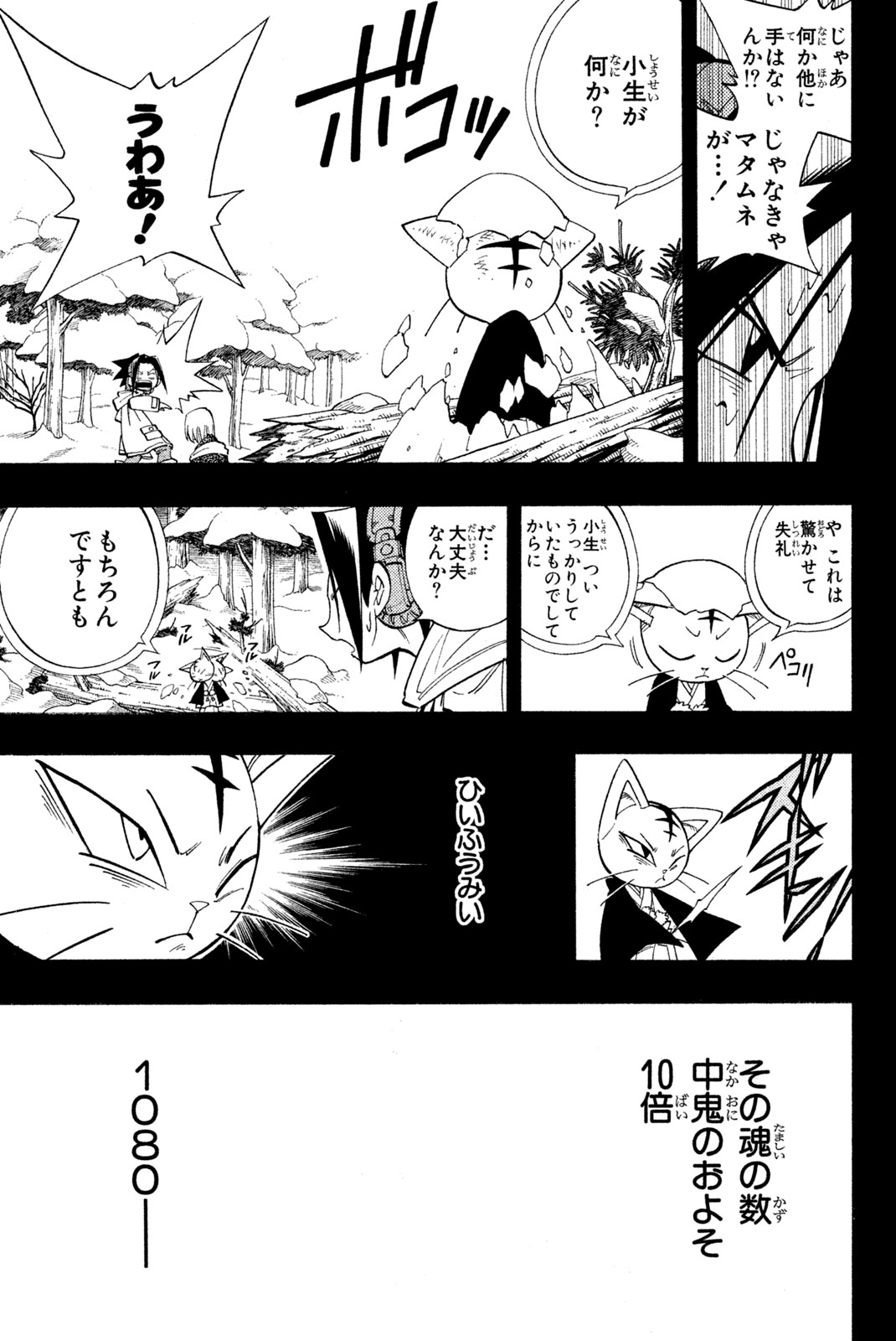 Shaman King Chapter 172 13ページ