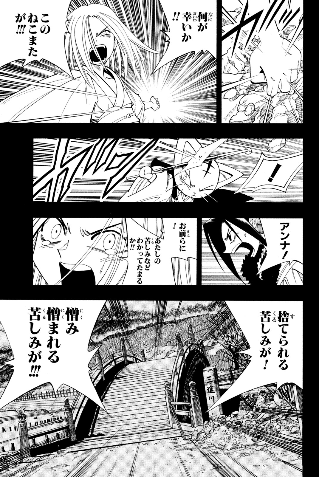 Shaman King Chapter 174 13ページ