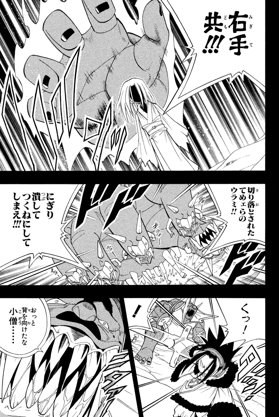 Shaman King Chapter 176 11ページ