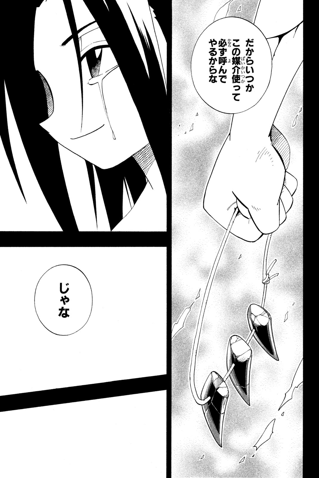 Shaman King Chapter 176 17ページ