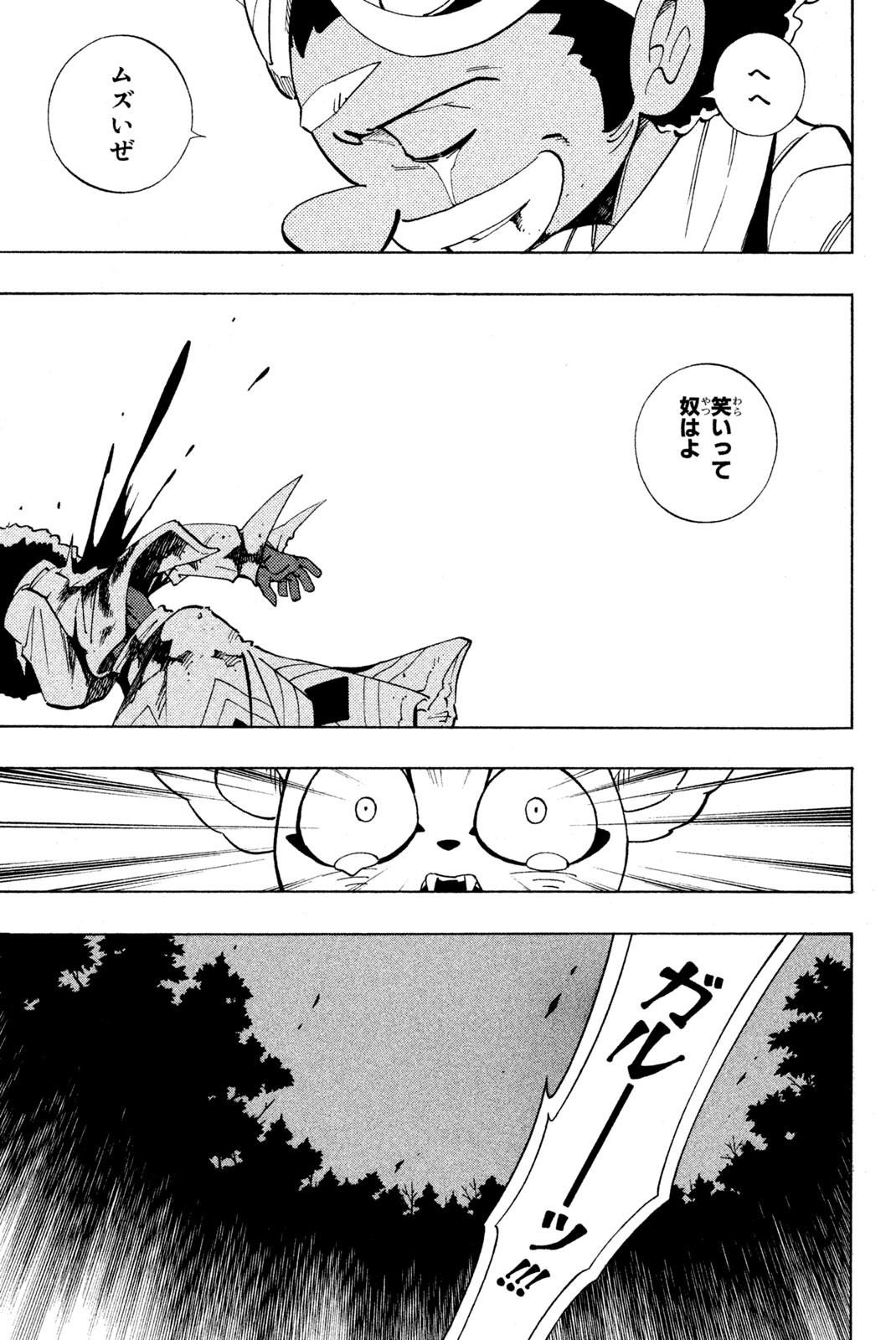 Shaman King Chapter 191 17ページ