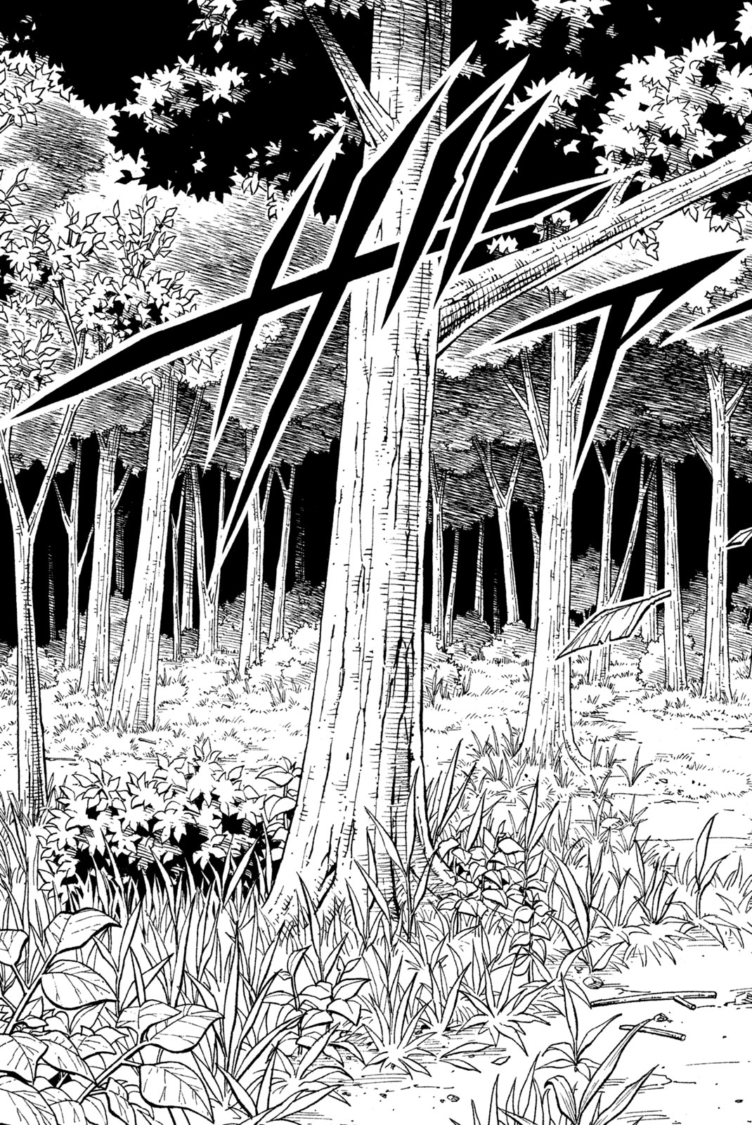 Shaman King Chapter 195 11ページ