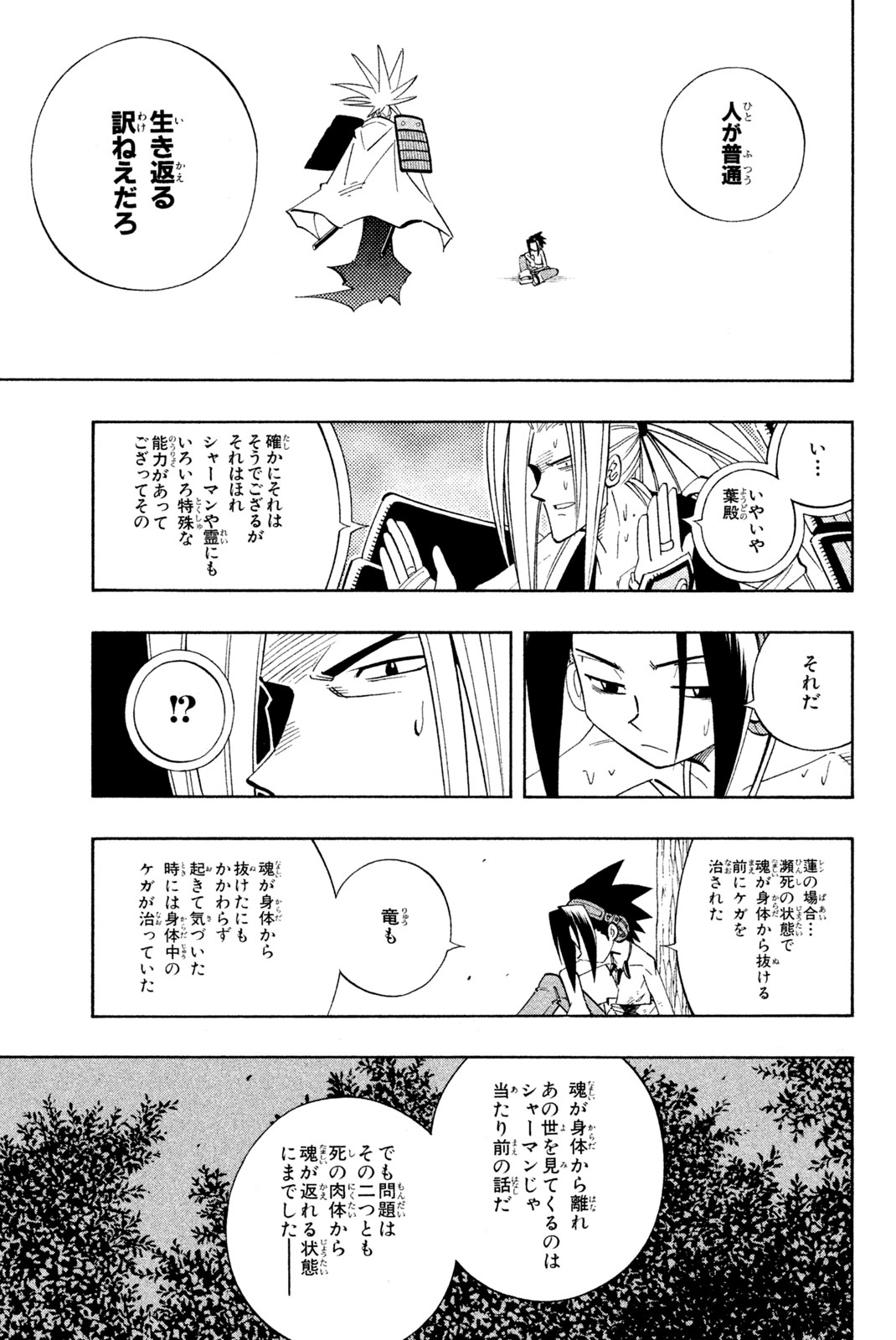 Shaman King Chapter 195 13ページ