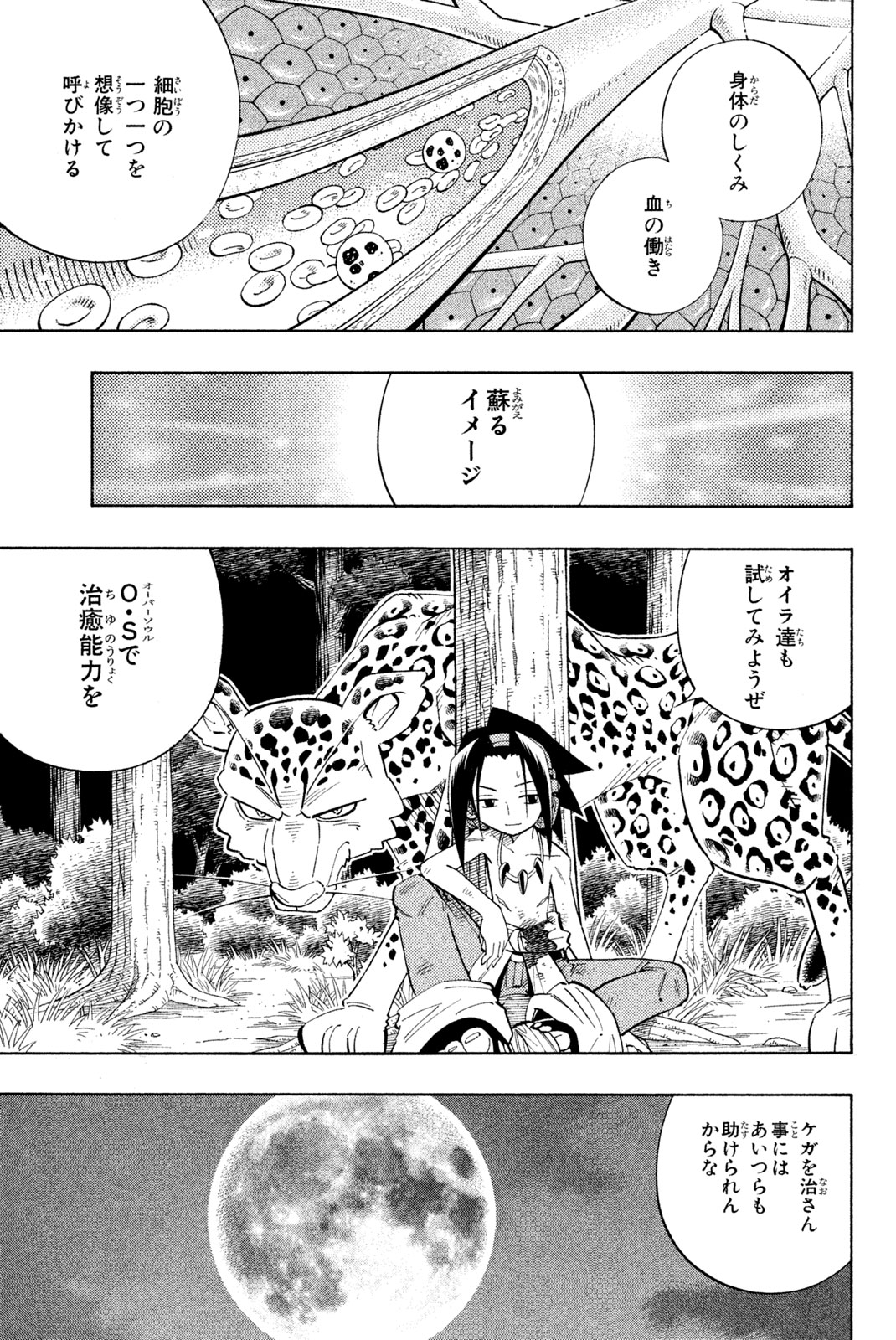 Shaman King Chapter 195 15ページ