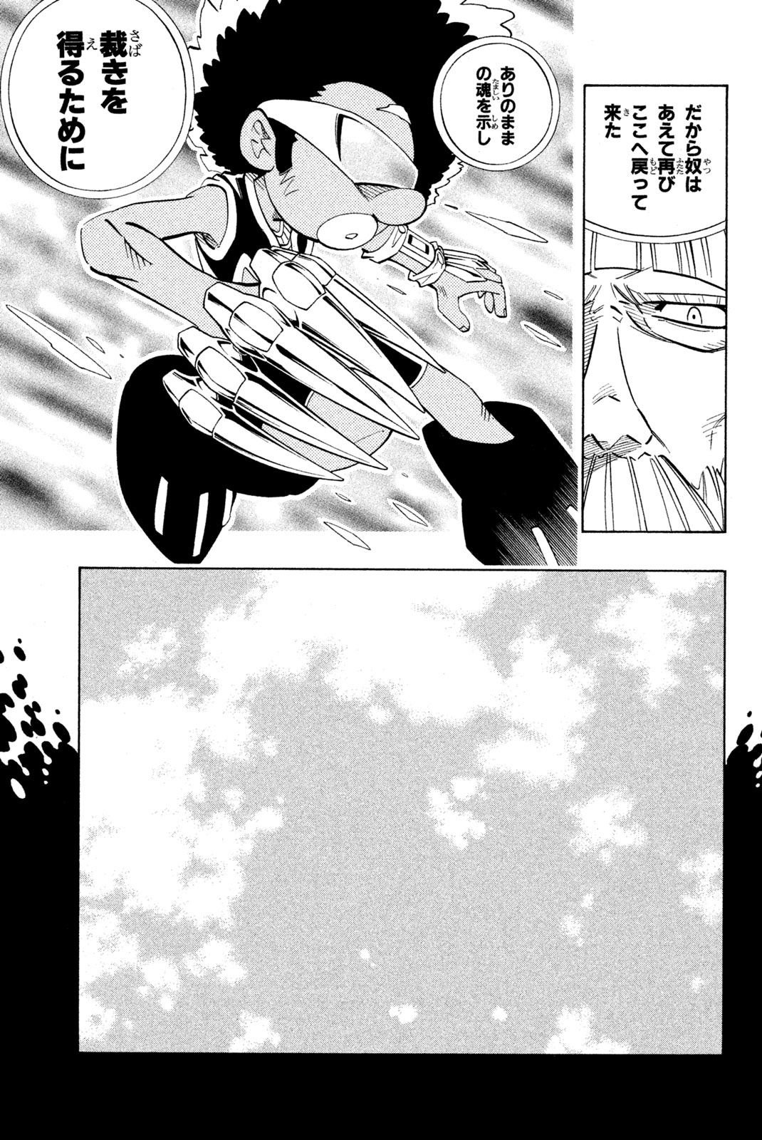 Shaman King Chapter 204 11ページ