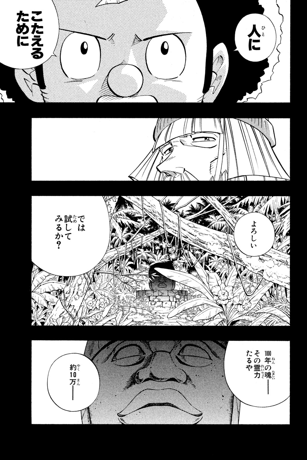 Shaman King Chapter 204 17ページ