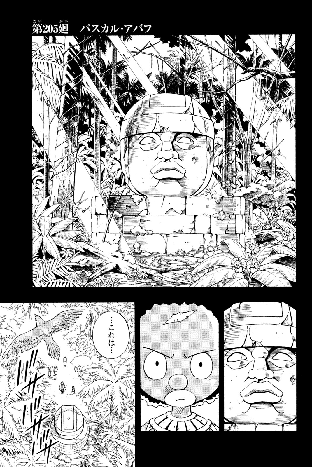 Shaman King Chapter 205 1ページ