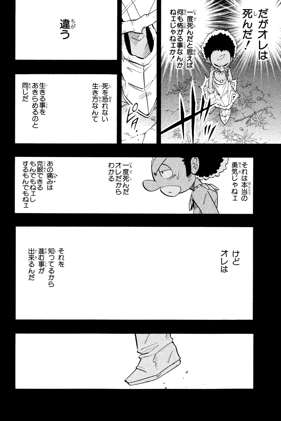 Shaman King Chapter 205 10ページ
