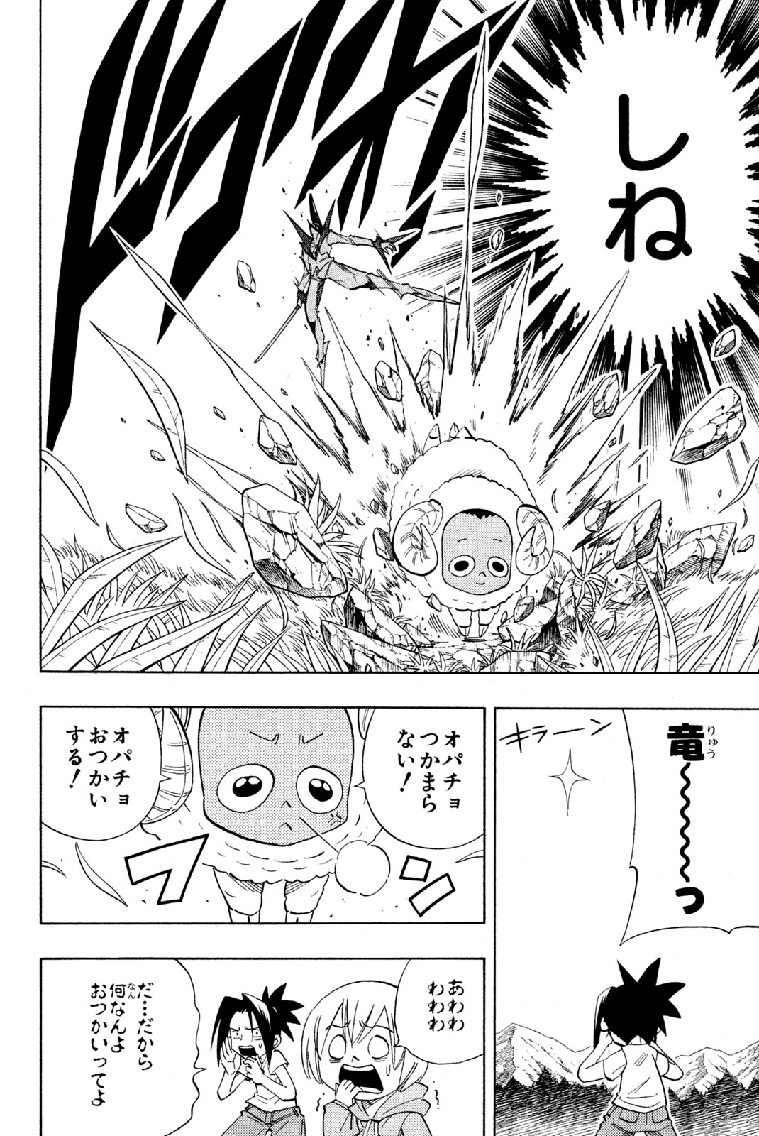 Shaman King Chapter 208 20ページ