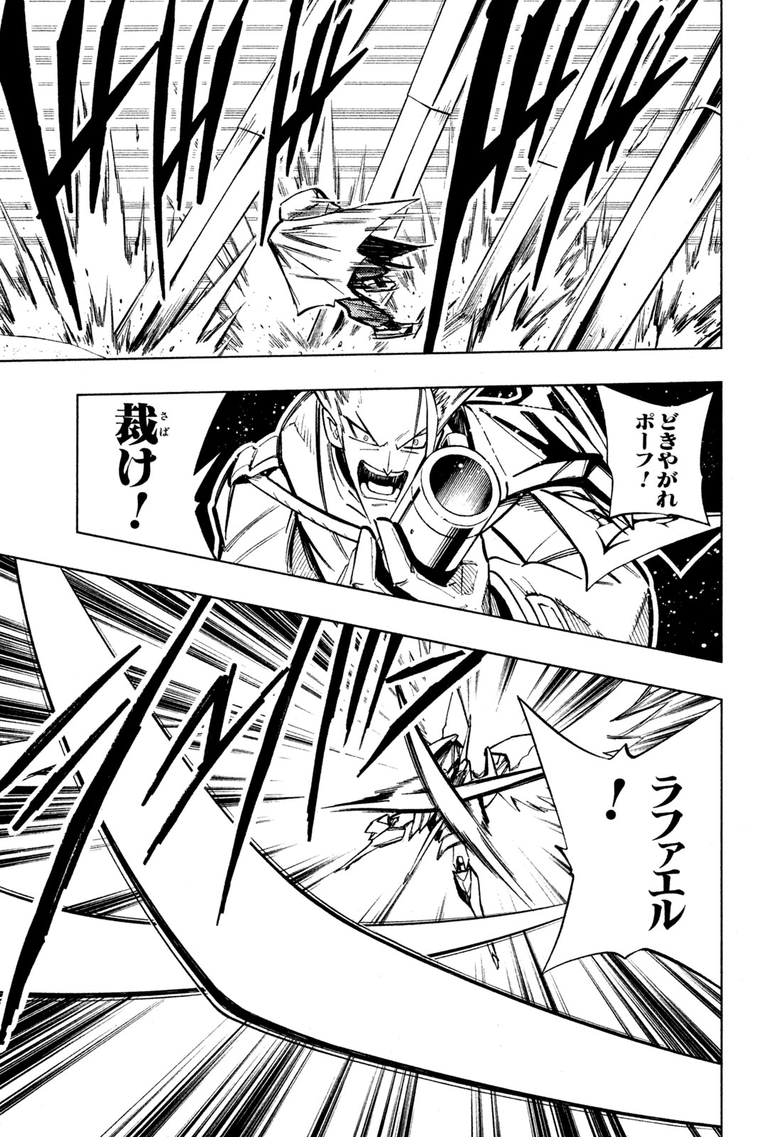 Shaman King Chapter 211 7ページ