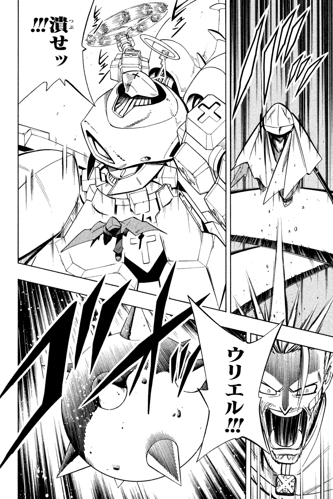 Shaman King Chapter 211 8ページ