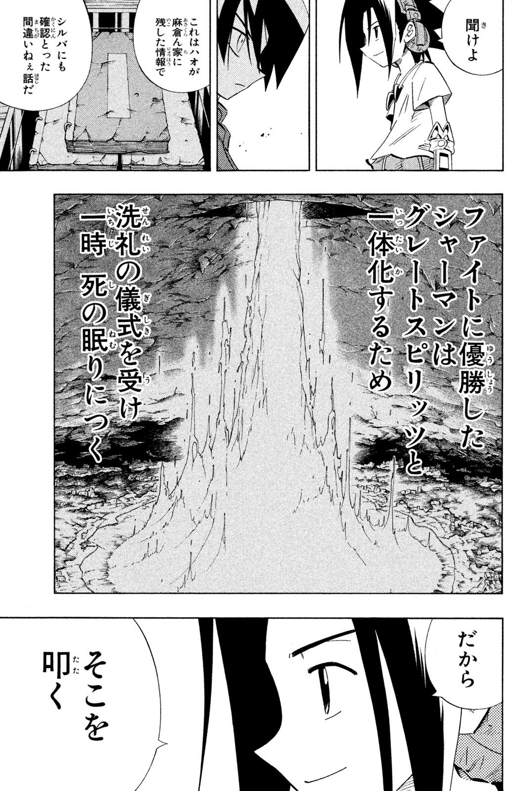 Shaman King Chapter 219 13ページ