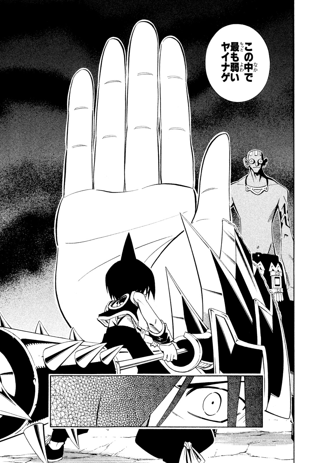 Shaman King Chapter 221 9ページ