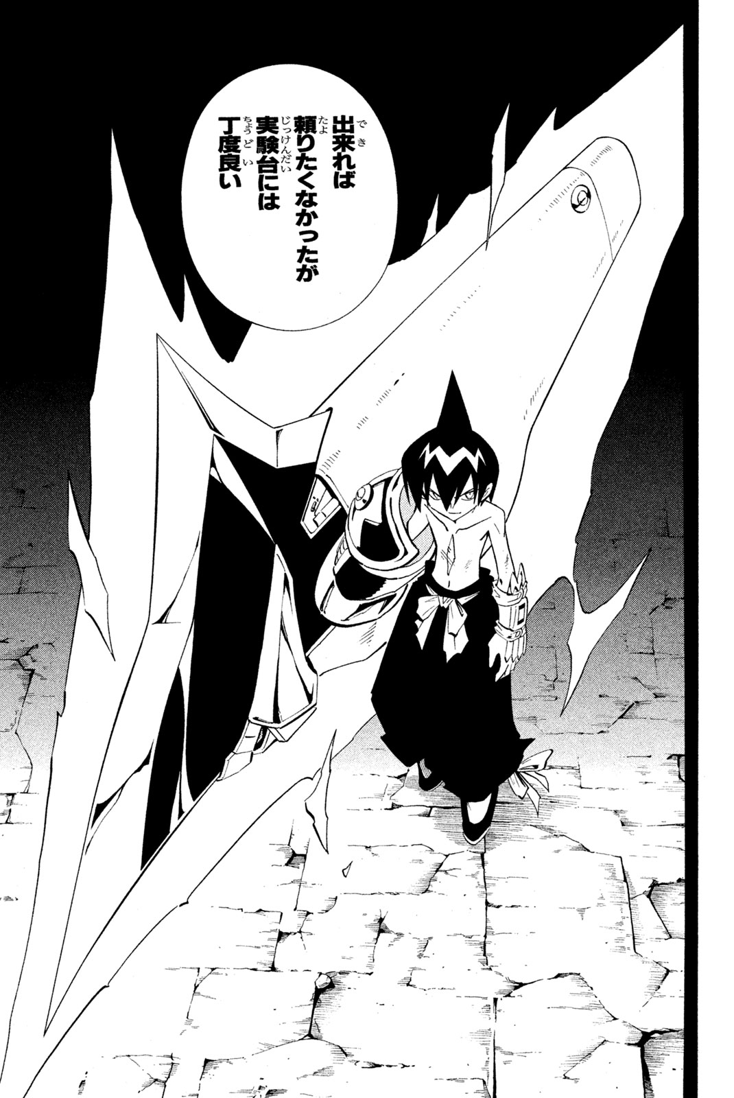 Shaman King Chapter 223 19ページ