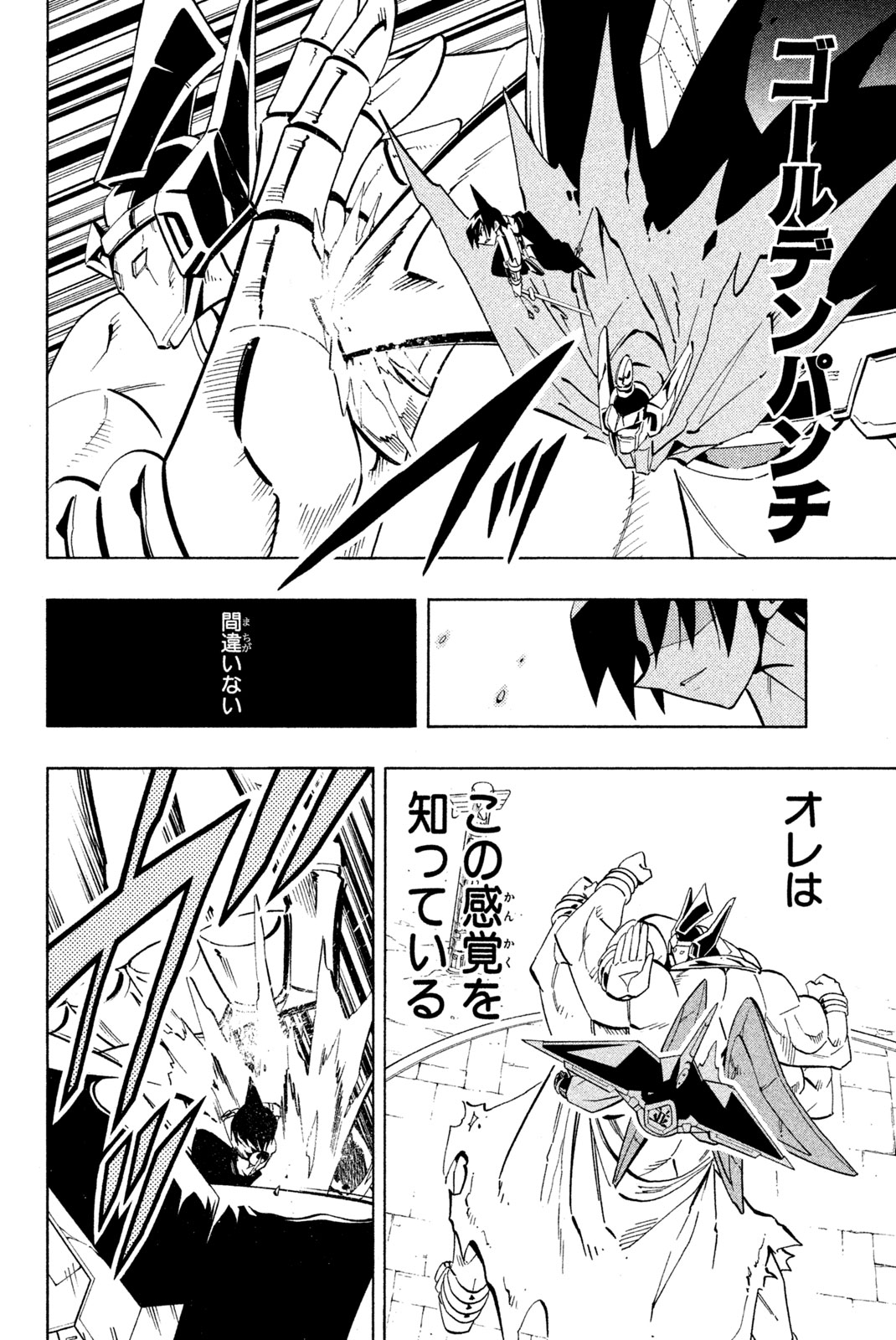 Shaman King Chapter 223 8ページ