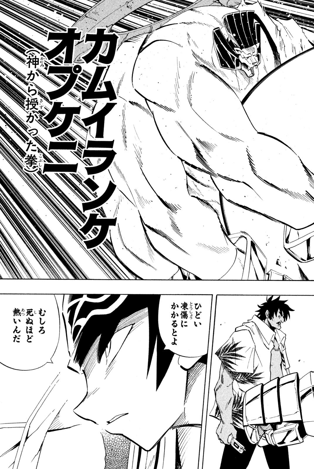 Shaman King Chapter 227 13ページ