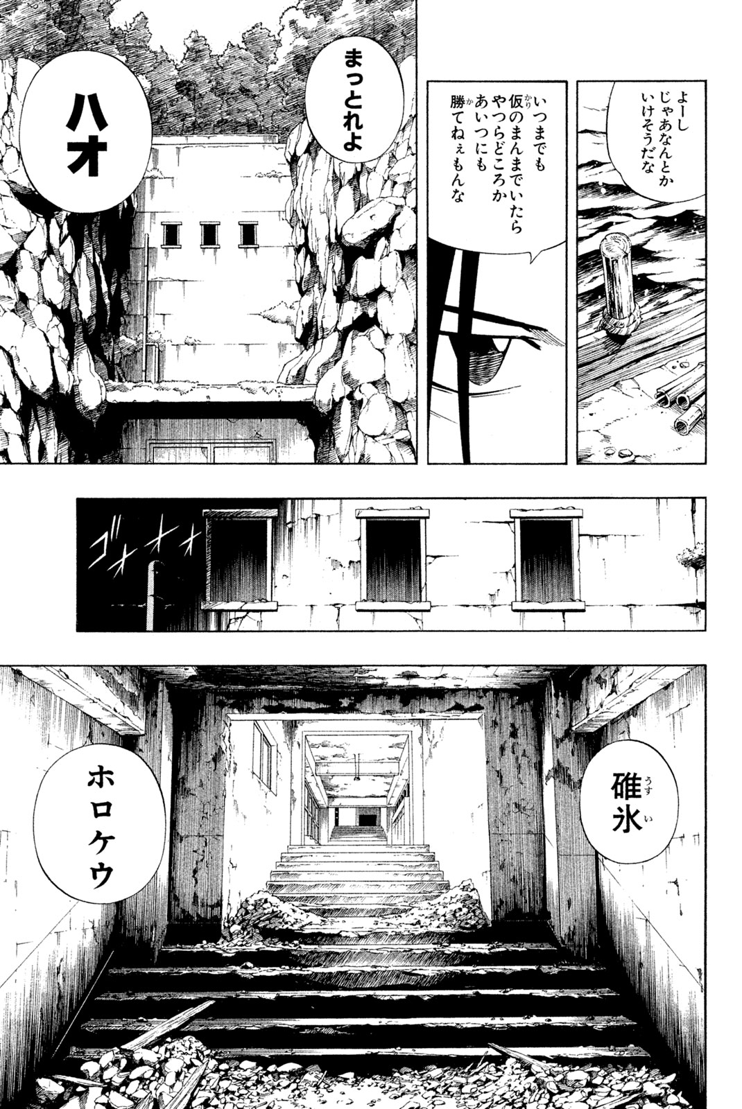 Shaman King Chapter 228 5ページ