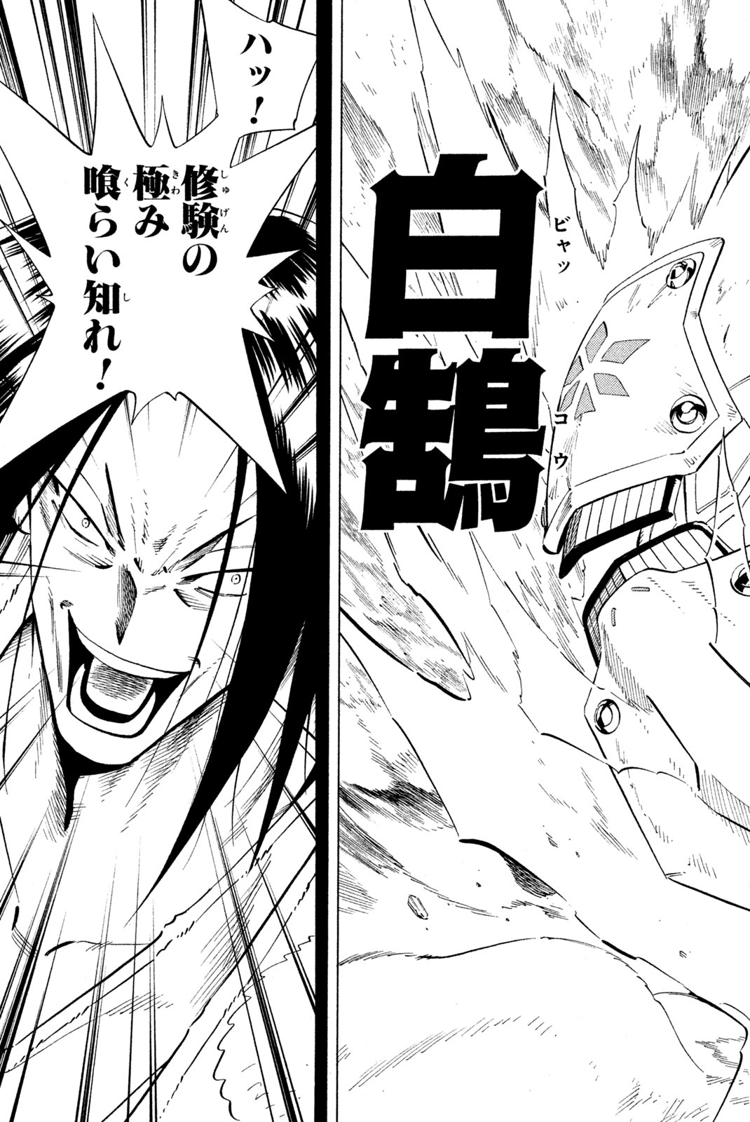 Shaman King Chapter 235 19ページ
