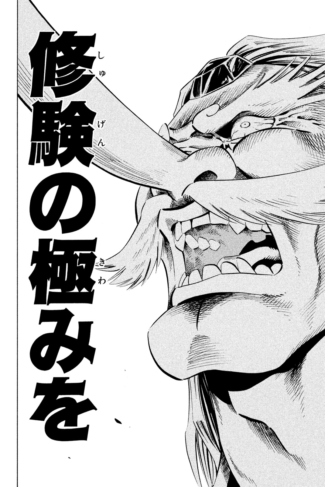 Shaman King Chapter 236 8ページ